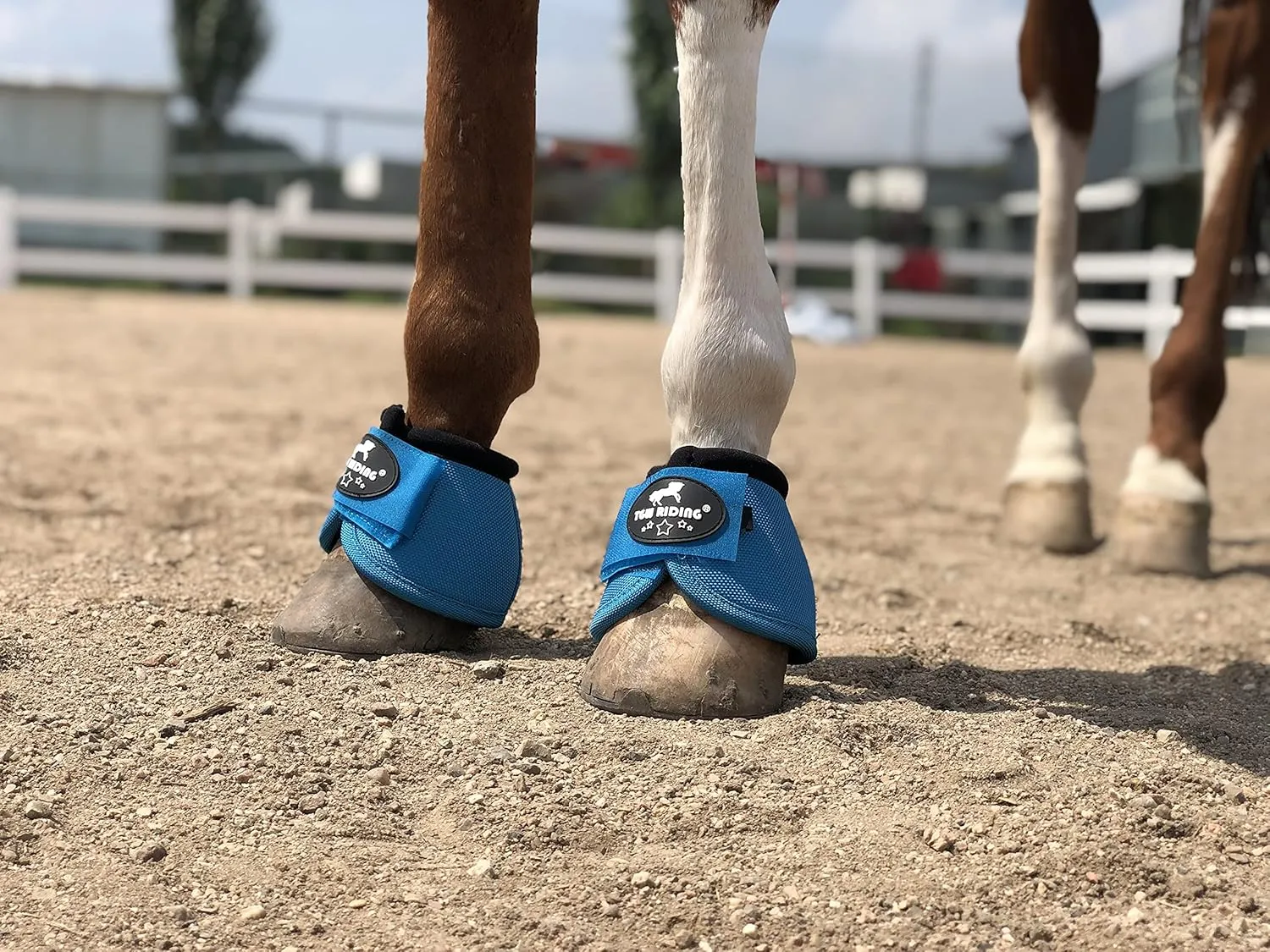 TGW RIDING 2520D Horse Bell Boots No-Turn Horse Bell Boots, Equine Ballistic Hoof Overreach Bell Boot, Pair