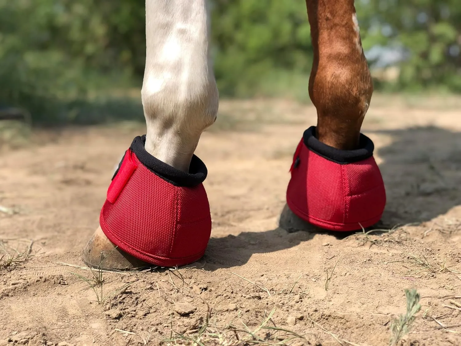 TGW RIDING 2520D Horse Bell Boots No-Turn Horse Bell Boots, Equine Ballistic Hoof Overreach Bell Boot, Pair