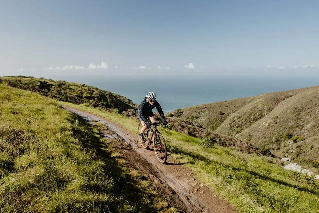 WTB Riddler Gravel Bike Tire, Tubeless Ready Folding Bead, Lightweight Fast Rolling, Dual DNA for Adventure Rides